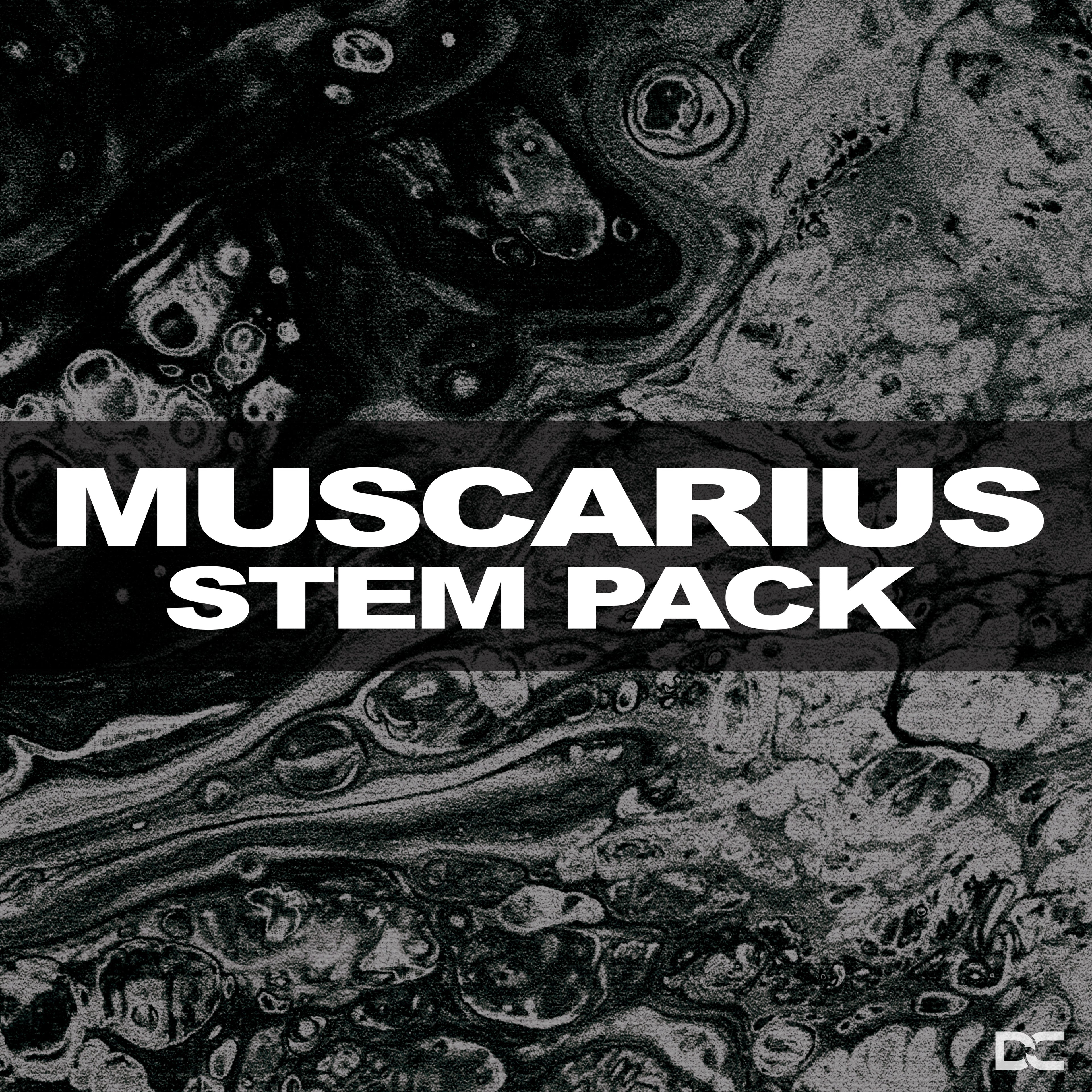 MUSCARIUS - STEMS